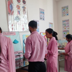 image-7